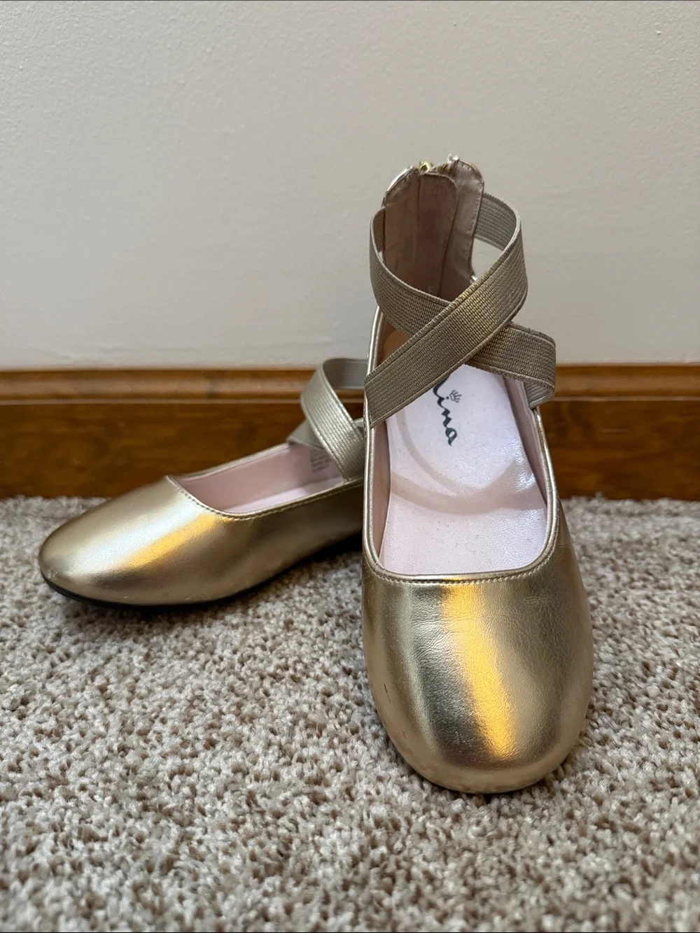 NINA GIRLS MARISSA PLATINO METALLIC ZIP BACK BALLET FLATS 10